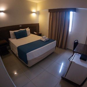 Luxury Apartment